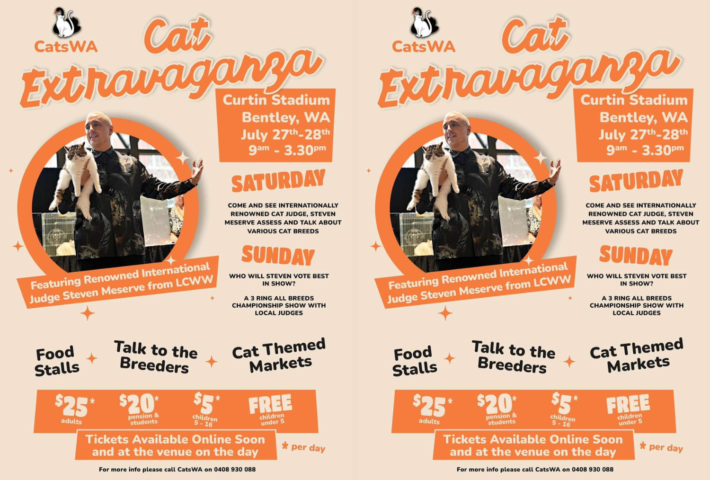 Cats Extravaganza – Perth